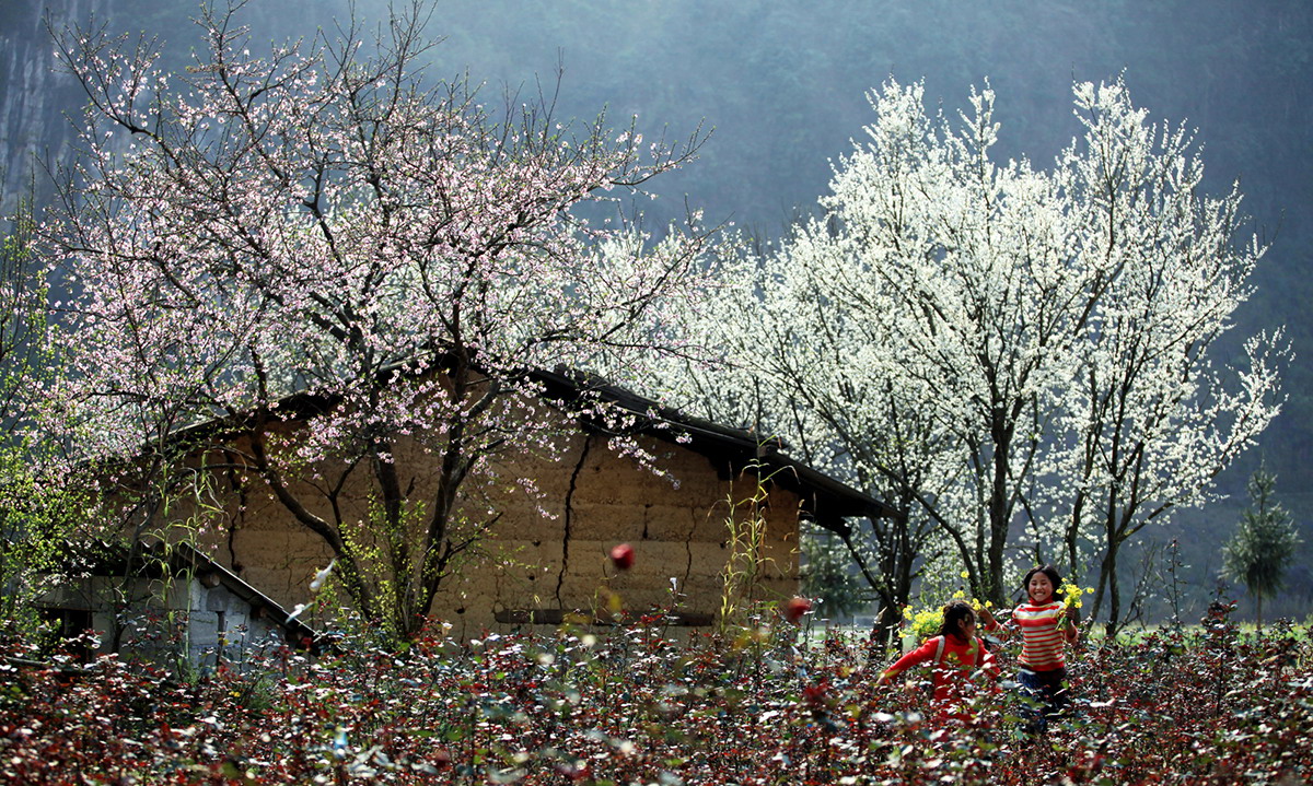mua-xuan-ha-giang