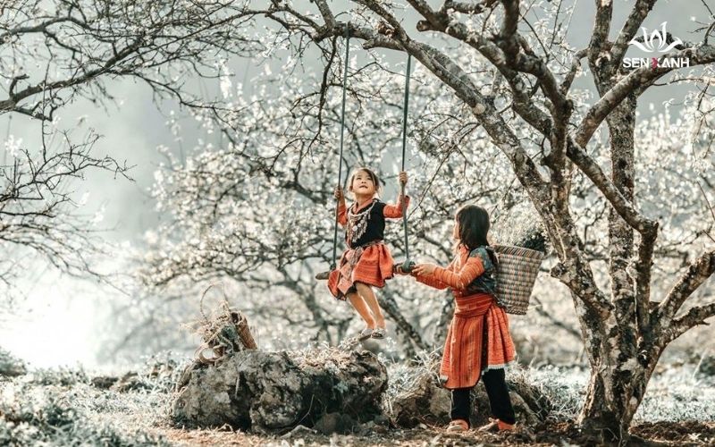 Mộc Châu vào mùa
